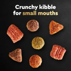 Cesar Porterhouse Flavor & Spring Vegetables Garnish Small Breed Adult Dry Dog Food -Pawsphoria Sales Store 157059 PT2. AC SS1800 V1695649460