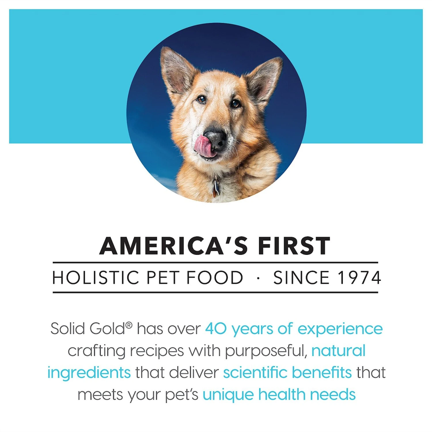Solid Gold Barking At The Moon 95% Beef Recipe Grain-Free Canned Dog Food 6 Solid Gold Barking At The Moon 95% Beef Recipe Grain-Free Canned Dog Food - Image 6