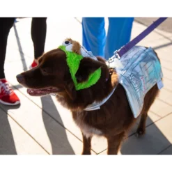 Pet Krewe Sesame Street Oscar The Grouch Dog & Cat Costume -Pawsphoria Sales Store 157703 PT6. AC SS1800 V1599277268