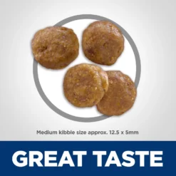 Hill's Science Diet Adult Sensitive Stomach & Sensitive Skin Grain-Free Chicken & Potato Recipe Dry Dog Food 11 Hill's Science Diet Adult Sensitive Stomach & Sensitive Skin Grain-Free Chicken & Potato Recipe Dry Dog Food -Pawsphoria Sales Store 157795 PT2. AC SS1800 V1607994747