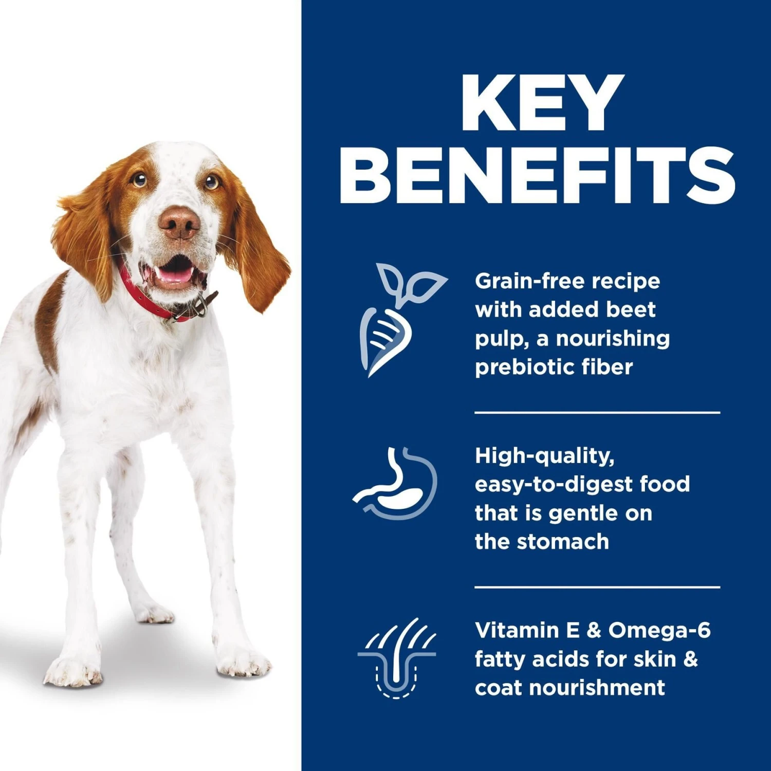 Hill's Science Diet Adult Sensitive Stomach & Sensitive Skin Grain-Free Chicken & Potato Recipe Dry Dog Food 5 Hill's Science Diet Adult Sensitive Stomach & Sensitive Skin Grain-Free Chicken & Potato Recipe Dry Dog Food - Image 5