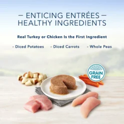 Blue Buffalo Divine Delights Roasted Turkey & Grilled Chicken Variety Dog Food Trays 9 Blue Buffalo Divine Delights Roasted Turkey & Grilled Chicken Variety Dog Food Trays -Pawsphoria Sales Store 158198 PT3. AC SS1800 V1568667146