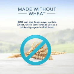 Blue Buffalo Divine Delights Roasted Turkey & Grilled Chicken Variety Dog Food Trays 10 Blue Buffalo Divine Delights Roasted Turkey & Grilled Chicken Variety Dog Food Trays -Pawsphoria Sales Store 158198 PT4. AC SS1800 V1568667156
