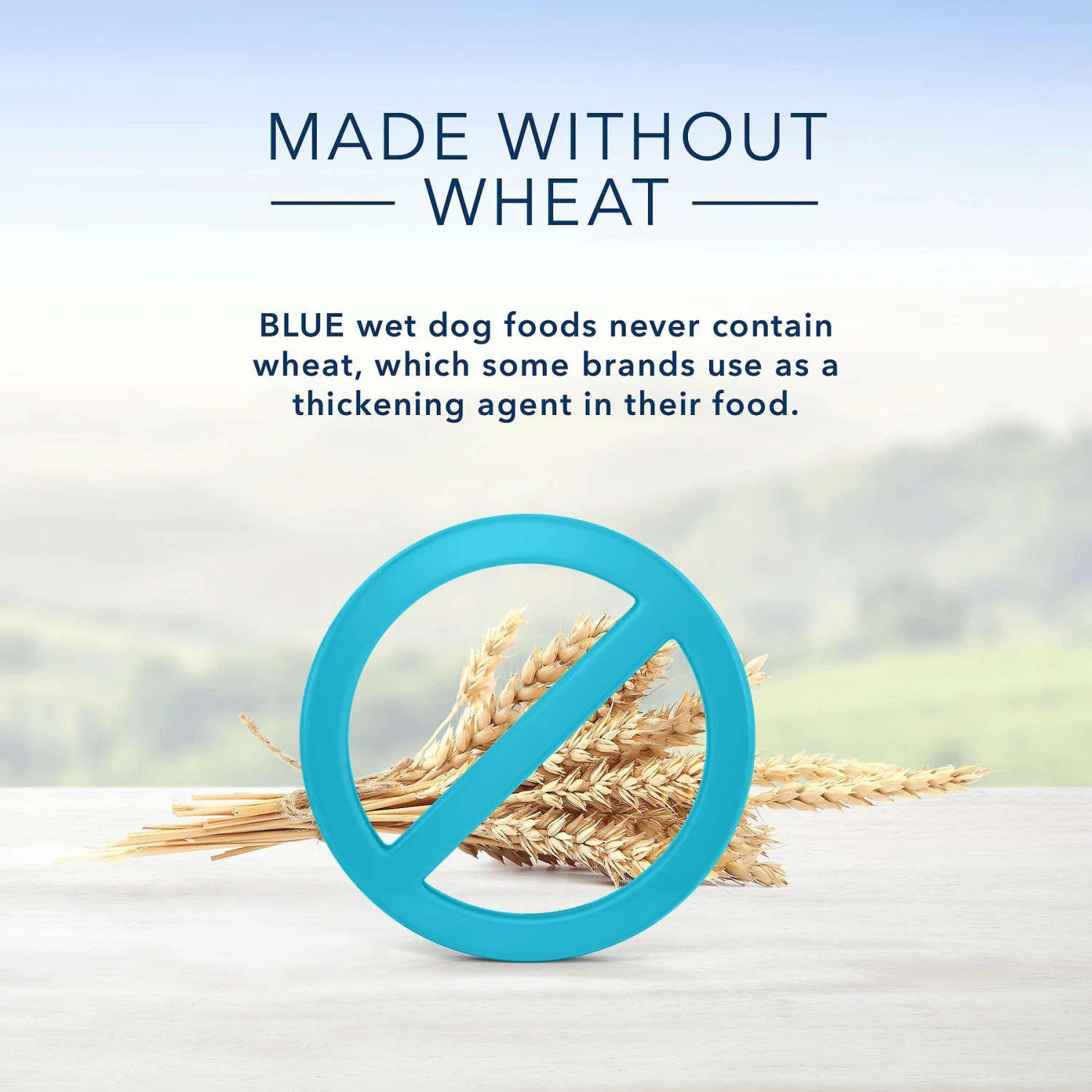 Blue Buffalo Divine Delights Roasted Turkey & Grilled Chicken Variety Dog Food Trays 4 Blue Buffalo Divine Delights Roasted Turkey & Grilled Chicken Variety Dog Food Trays - Image 4