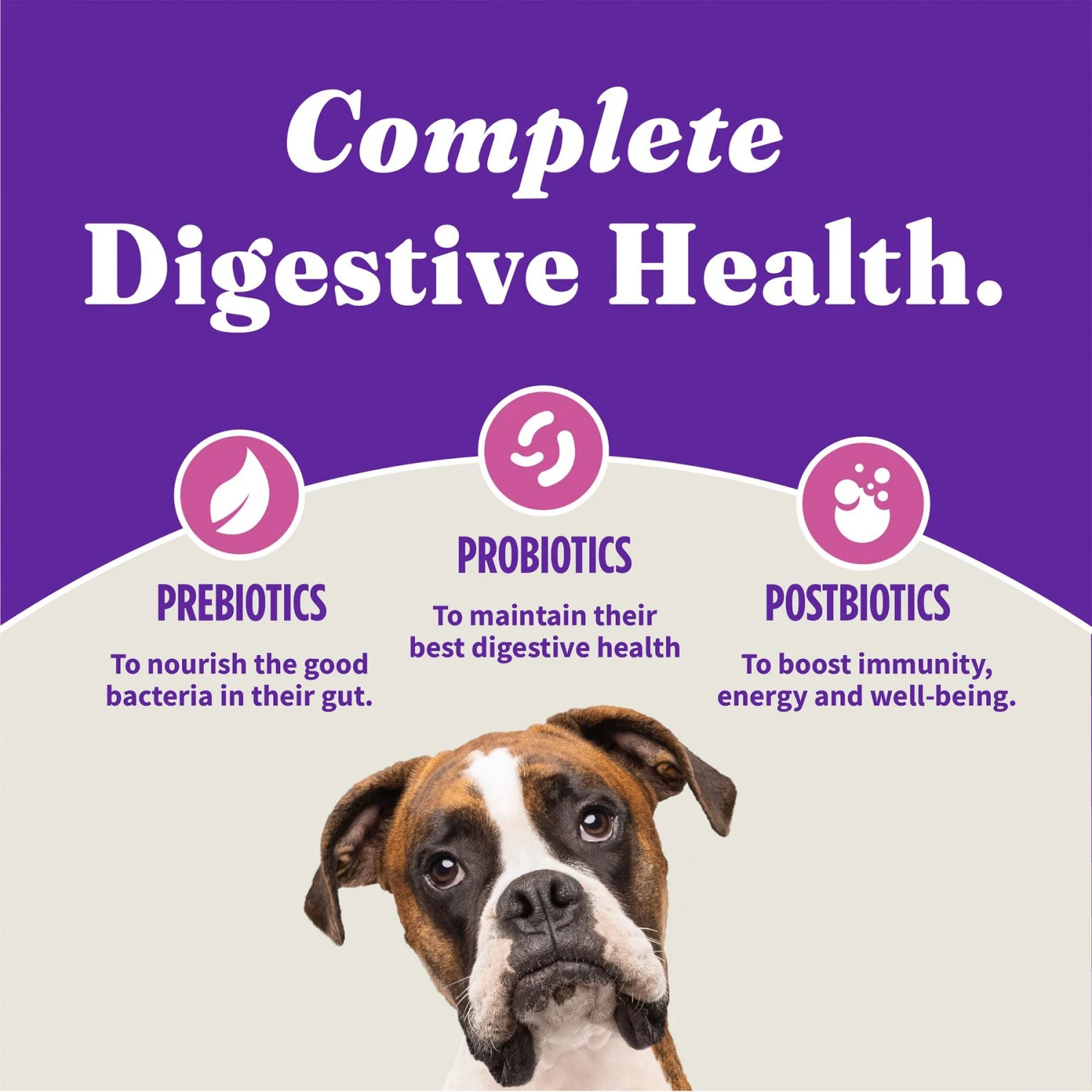 Halo Holistic Complete Digestive Health Grain-Free Turkey & Sweet Potato Dog Food Recipe Adult Dry Dog Food 7 Halo Holistic Complete Digestive Health Grain-Free Turkey & Sweet Potato Dog Food Recipe Adult Dry Dog Food - Image 7