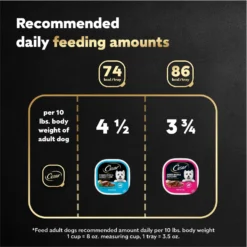 Cesar Breakfast Classic Loaf In Sauce Variety Pack Small Breed Adult Wet Dog Food Trays -Pawsphoria Sales Store 159227 PT6. AC SS1800 V1695666301