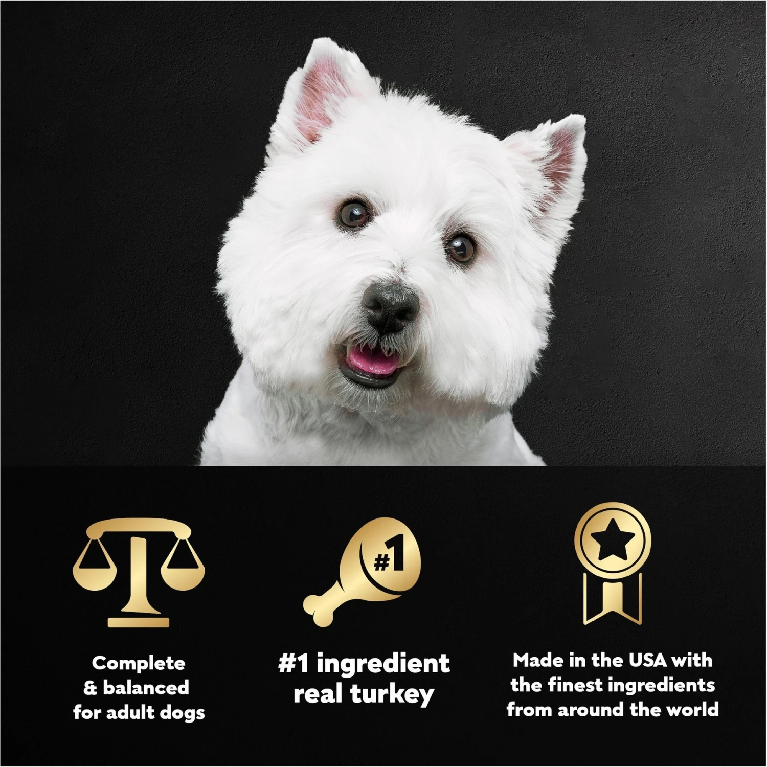 Cesar Turkey Recipe Filets In Gravy Small Breed Adult Wet Dog Food Trays 5 Cesar Turkey Recipe Filets In Gravy Small Breed Adult Wet Dog Food Trays - Image 5