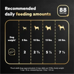 Cesar Turkey Recipe Filets In Gravy Small Breed Adult Wet Dog Food Trays 15 Cesar Turkey Recipe Filets In Gravy Small Breed Adult Wet Dog Food Trays -Pawsphoria Sales Store 159231 PT6. AC SS1800 V1695662182