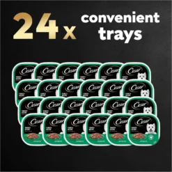 Cesar Turkey Recipe Filets In Gravy Small Breed Adult Wet Dog Food Trays 16 Cesar Turkey Recipe Filets In Gravy Small Breed Adult Wet Dog Food Trays -Pawsphoria Sales Store 159231 PT7. AC SS1800 V1695750254
