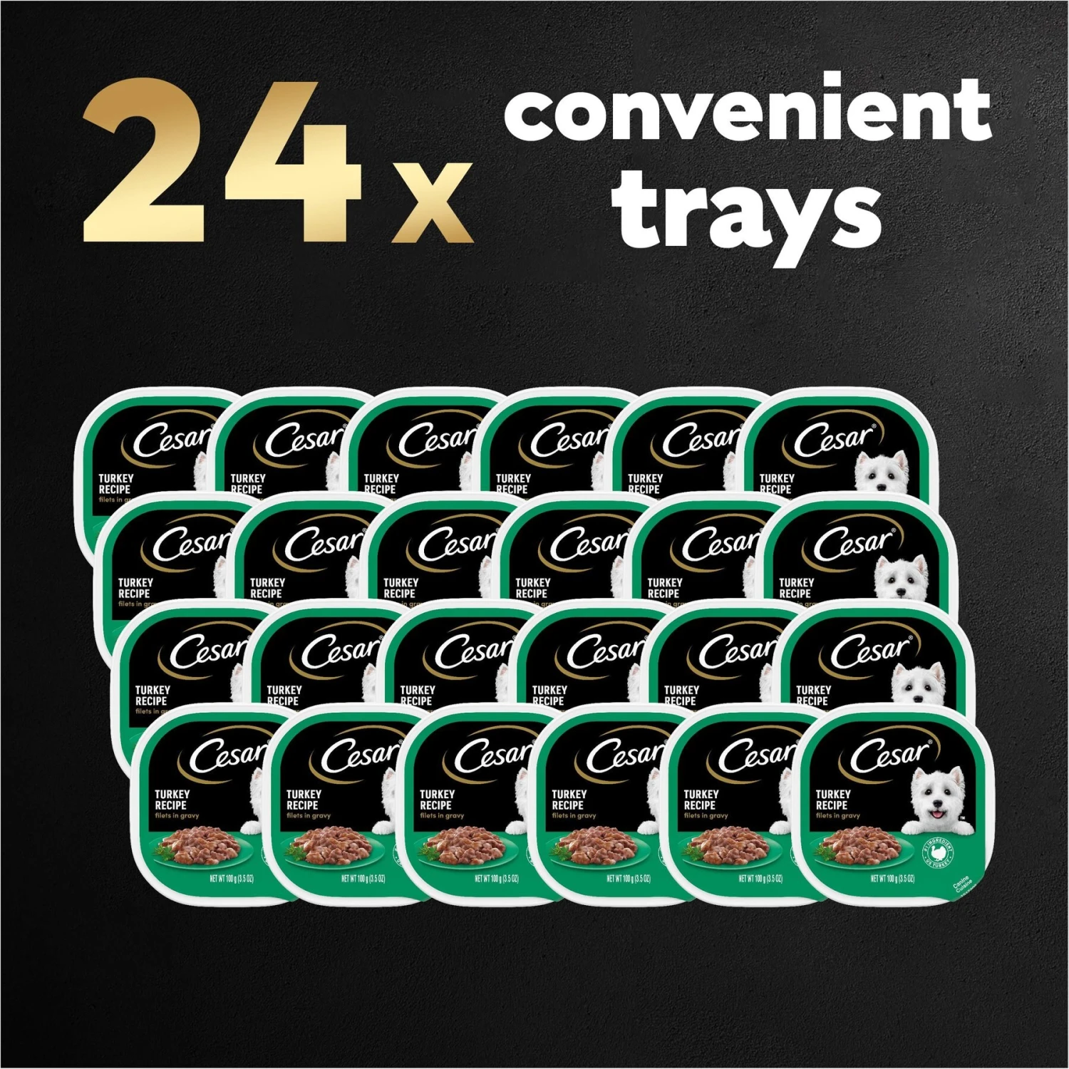 Cesar Turkey Recipe Filets In Gravy Small Breed Adult Wet Dog Food Trays 8 Cesar Turkey Recipe Filets In Gravy Small Breed Adult Wet Dog Food Trays - Image 8