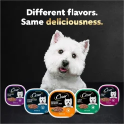Cesar Turkey Recipe Filets In Gravy Small Breed Adult Wet Dog Food Trays 17 Cesar Turkey Recipe Filets In Gravy Small Breed Adult Wet Dog Food Trays -Pawsphoria Sales Store 159231 PT8. AC SS1800 V1695656624