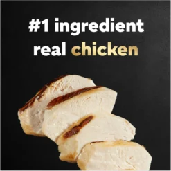 Cesar Rotisserie Chicken Flavor Filets In Gravy Small Breed Adult Wet Dog Food Trays -Pawsphoria Sales Store 159233 PT3. AC SS1800 V1695656613