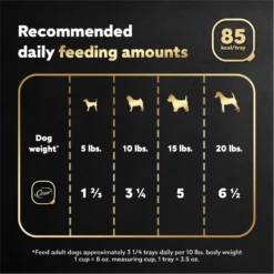 Cesar Rotisserie Chicken Flavor Filets In Gravy Small Breed Adult Wet Dog Food Trays -Pawsphoria Sales Store 159233 PT6. AC SS1800 V1695656612