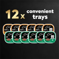 Cesar Poultry Lovers Turkey & Chicken Filets In Gravy Variety Pack Small Breed Adult Wet Dog Food Trays -Pawsphoria Sales Store 159235 PT7. AC SS1800 V1695656561