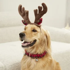 Frisco Holiday Antler Headband & Bell Collar Dog & Cat Costume -Pawsphoria Sales Store 160658 PT4. AC SS1800 V1568818037