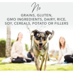 K9 Natural Lamb & King Salmon Grain-Free Freeze-Dried Dog Food -Pawsphoria Sales Store 160751 PT2. AC SS1800 V1692973520