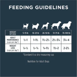 Instinct Raw Boost Gut Health Grain-Free Recipe With Real Chicken & Freeze-Dried Raw Pieces Adult Dry Dog Food -Pawsphoria Sales Store 160758 PT7. AC SS1800 V1552327074