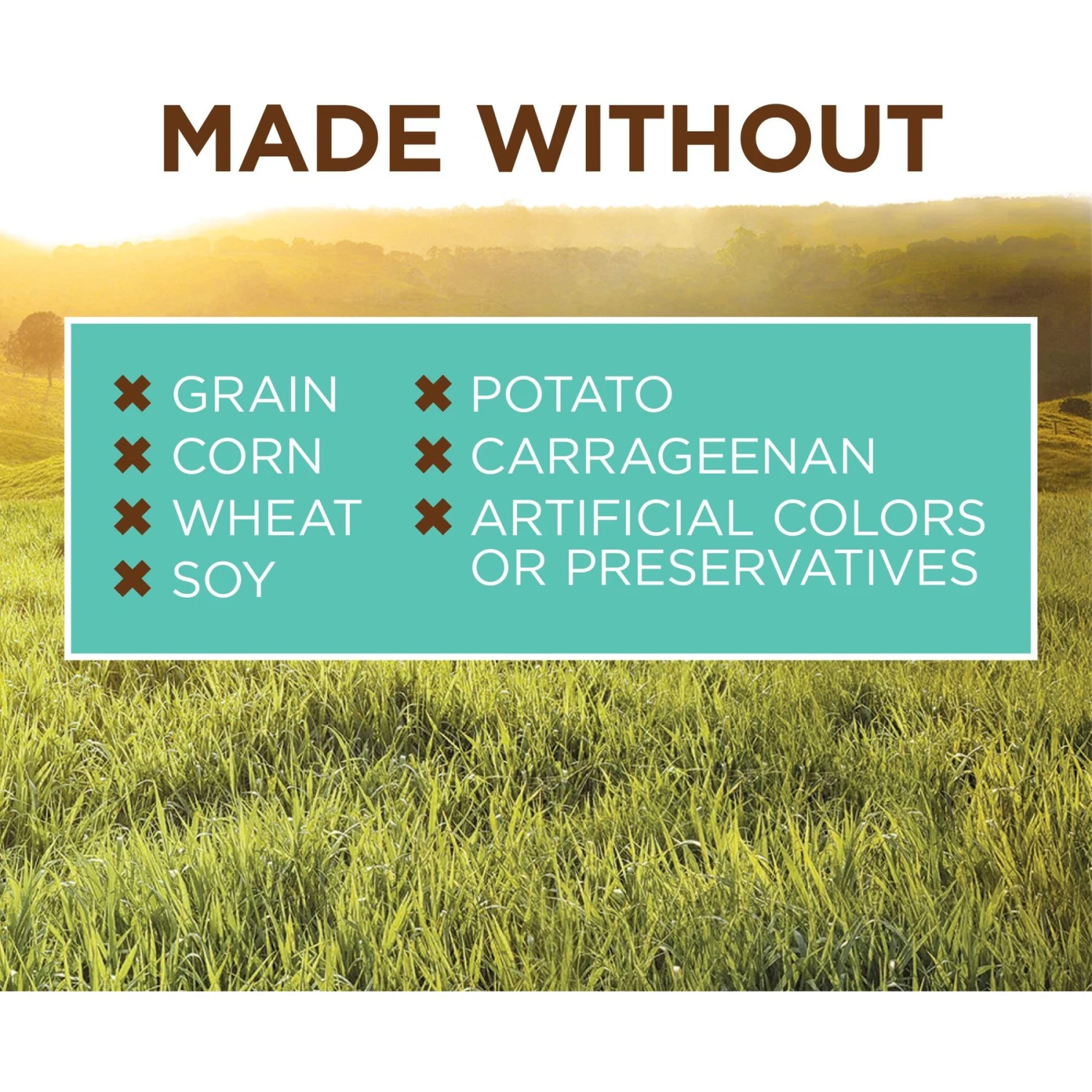 Instinct Original Puppy Grain-Free Real Chicken Recipe Wet Canned Dog Food 4 Instinct Original Puppy Grain-Free Real Chicken Recipe Wet Canned Dog Food - Image 4