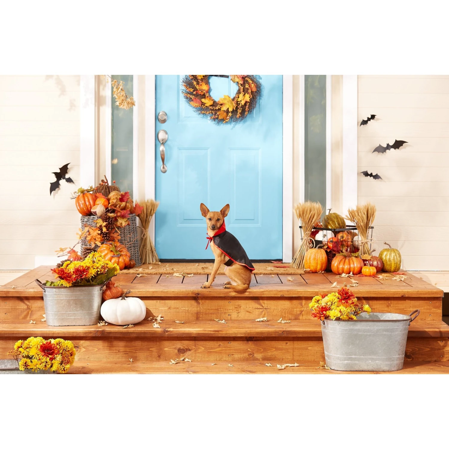 Frisco Vampire Cape Dog & Cat Costume 3 Frisco Vampire Cape Dog & Cat Costume - Image 3