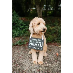 Pearhead Pet Baby Annoucement Chalkboard 8 Pearhead Pet Baby Annoucement Chalkboard -Pawsphoria Sales Store 163475 PT3. AC SS1800 V1553698040