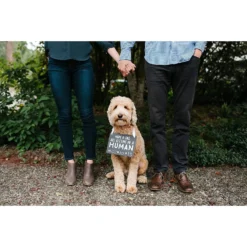 Pearhead Pet Baby Annoucement Chalkboard 9 Pearhead Pet Baby Annoucement Chalkboard -Pawsphoria Sales Store 163475 PT4. AC SS1800 V1553698041