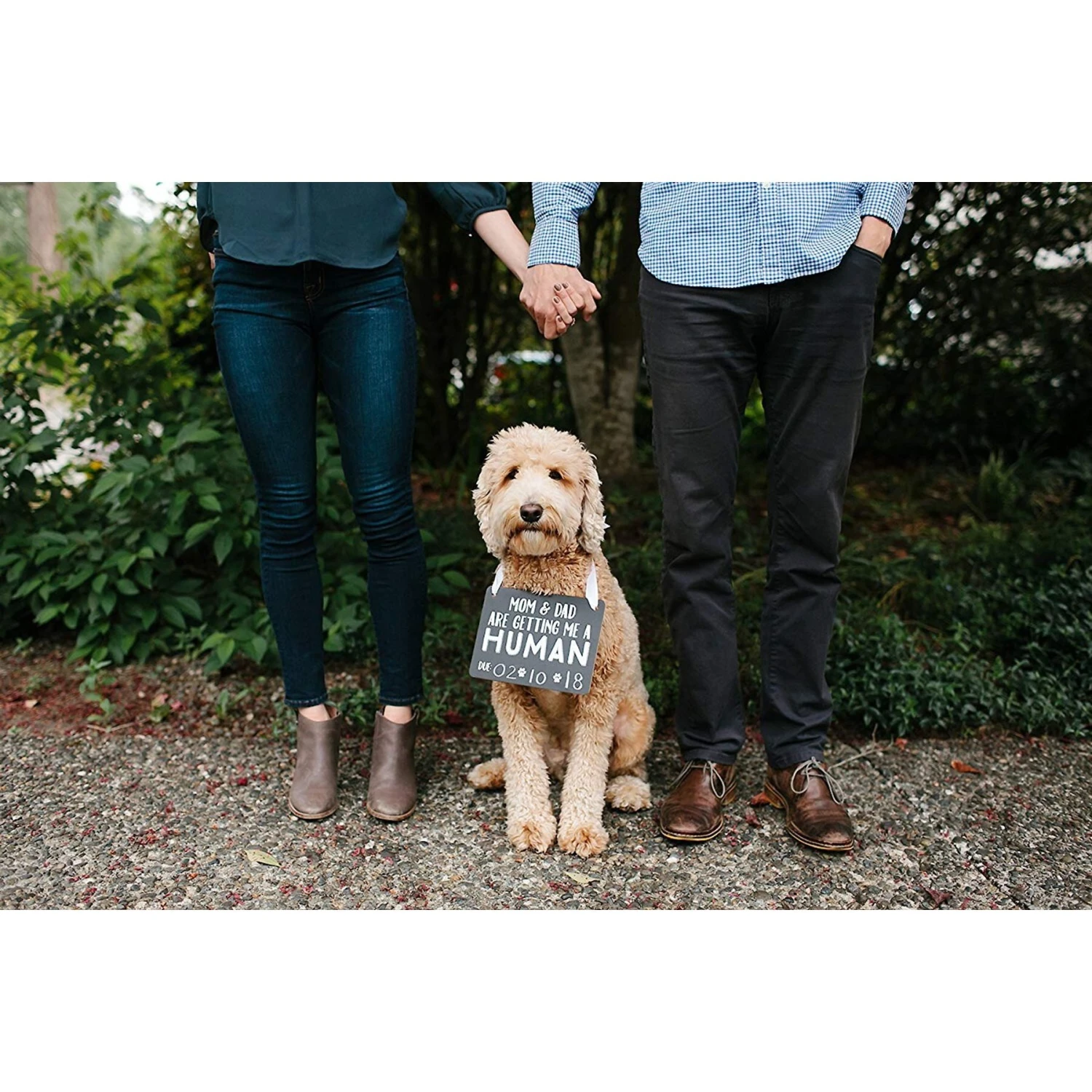 Pearhead Pet Baby Annoucement Chalkboard 5 Pearhead Pet Baby Annoucement Chalkboard - Image 5