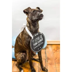 Pearhead Pet Wedding Announcement Chalkboard -Pawsphoria Sales Store 163485 PT4. AC SS1800 V1553698057