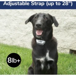 Free Spirit Remote Trainer Add-A-Dog Collar -Pawsphoria Sales Store 163935 PT4. AC SS1800 V1605139325