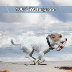 IPets PET618 Extra Collar Receiver -Pawsphoria Sales Store 172601 PT2. AC SS1800 V1626747414