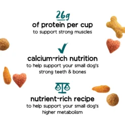 Purina Beneful IncrediBites With Farm-Raised Beef Small Breed Dry Dog Food 11 Purina Beneful IncrediBites With Farm-Raised Beef Small Breed Dry Dog Food -Pawsphoria Sales Store 173763 PT2. AC SS1800 V1695846582