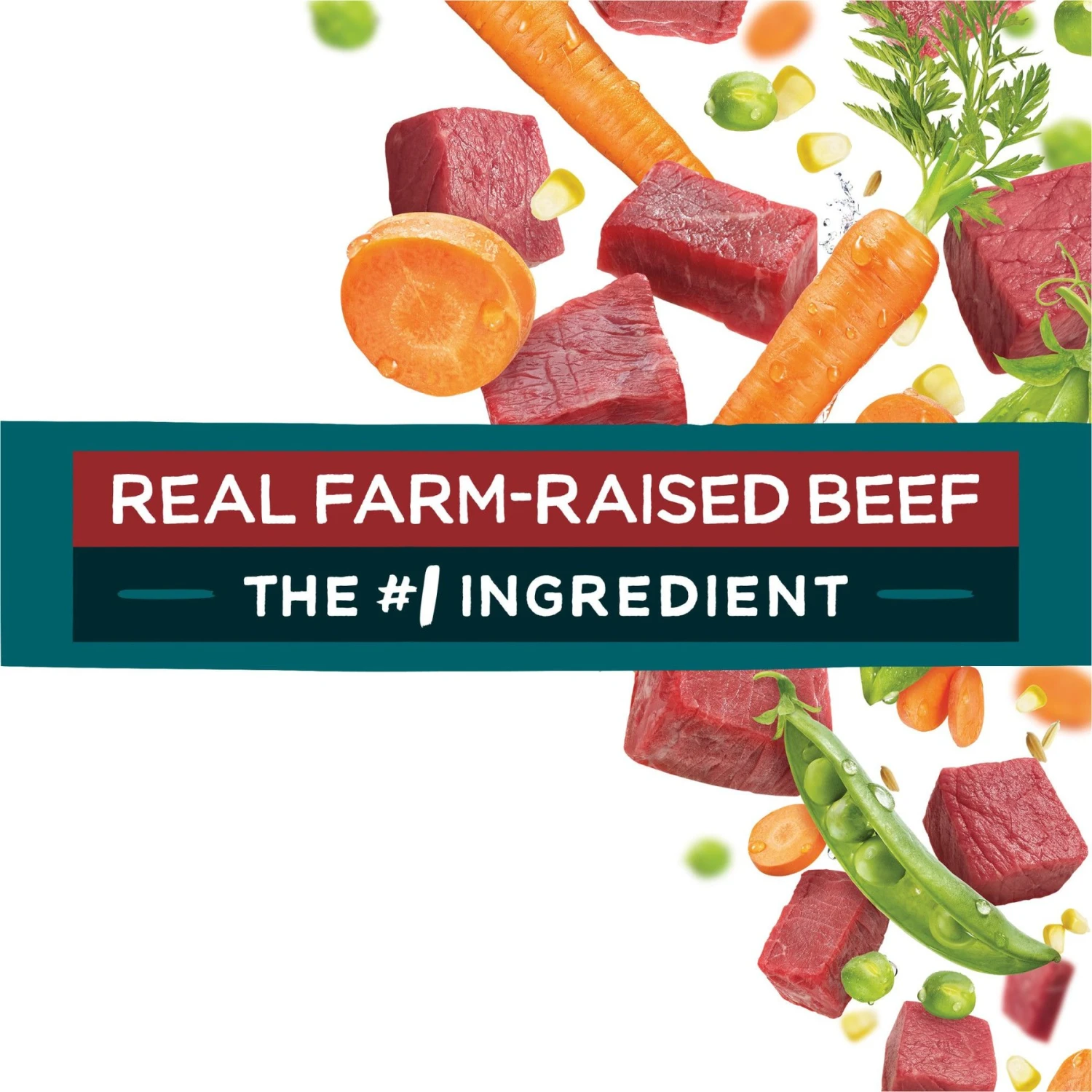 Purina Beneful IncrediBites With Farm-Raised Beef Small Breed Dry Dog Food 7 Purina Beneful IncrediBites With Farm-Raised Beef Small Breed Dry Dog Food - Image 7