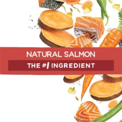 Purina Beneful Originals With Natural Salmon Dry Dog Food -Pawsphoria Sales Store 173765 PT6. AC SS1800 V1695742956