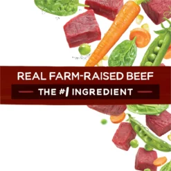 Purina Beneful Originals With Farm-Raised Beef Real Meat Dog Food -Pawsphoria Sales Store 173766 PT7. AC SS1800 V1695735316