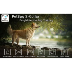 PetSpy P320 1200-ft Static Remote Dog Training Collar -Pawsphoria Sales Store 175497 PT5. AC SS1800 V1569424021