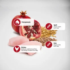 Farmina N&D Ancestral Grain Chicken & Pomegranate Medium & Maxi Adult Dry Dog Food -Pawsphoria Sales Store 175526 PT4. AC SS1800 V1591127756