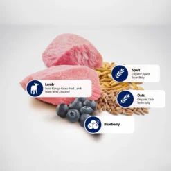 Farmina N&D Ancestral Grain Lamb & Blueberry Medium & Maxi Adult Dry Dog Food -Pawsphoria Sales Store 175530 PT4. AC SS1800 V1591127791