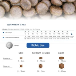 Farmina N&D Ancestral Grain Lamb & Blueberry Medium & Maxi Adult Dry Dog Food -Pawsphoria Sales Store 175530 PT5. AC SS1800 V1591127793