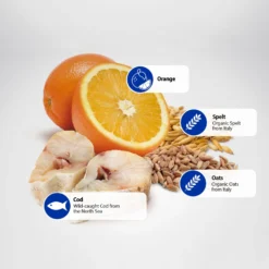 Farmina N&D Ocean Codfish & Orange Ancestral Grain Medium & Maxi Adult Dry Dog Food -Pawsphoria Sales Store 175532 PT4. AC SS1800 V1591127820