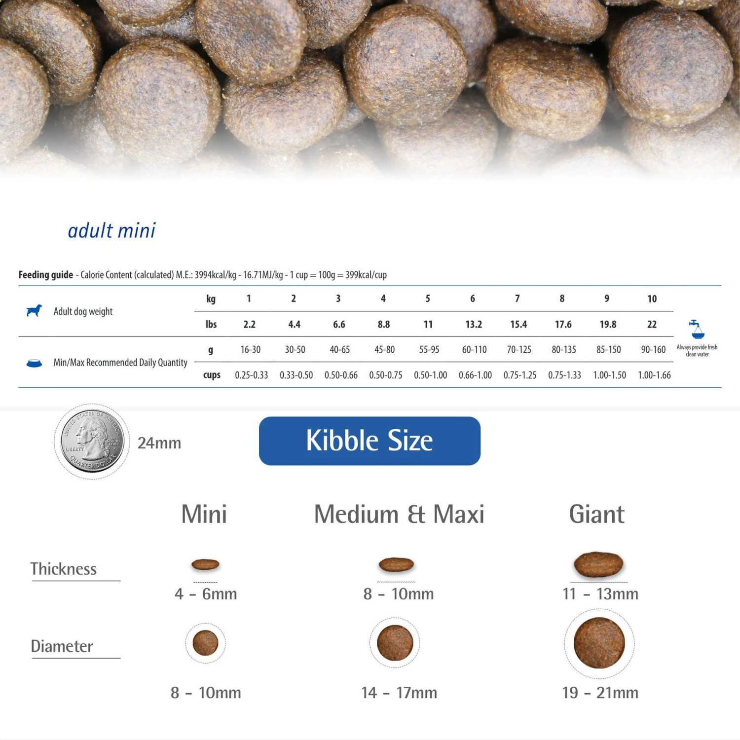 Farmina N&D Ocean Codfish & Orange Ancestral Grain Mini Adult Dry Dog Food 6 Farmina N&D Ocean Codfish & Orange Ancestral Grain Mini Adult Dry Dog Food - Image 6