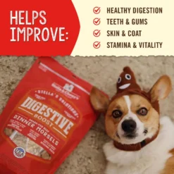 Stella & Chewy's Stella's Solutions Digestive Boost Freeze-Dried Raw Grass-Fed Beef Dinner Morsels Dog Food -Pawsphoria Sales Store 176513 PT3. AC SS1800 V1680640377
