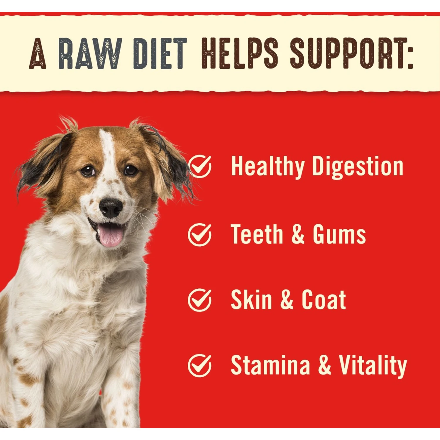 Stella & Chewy's Purely Pork Freeze-Dried Raw Dinner Patties Dog Food 3 Stella & Chewy's Purely Pork Freeze-Dried Raw Dinner Patties Dog Food - Image 3