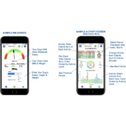 High Tech Pet Products Bluefang Smartphone-Controlled 5-in-1 Waterproof Dog Training Collar -Pawsphoria Sales Store 178715 PT5. AC SS1800 V1563289962