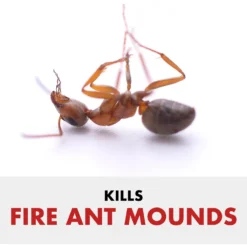 Spectracide Fire Ant Shield Mound Destroyer Granules -Pawsphoria Sales Store 180125 PT2. AC SS1800 V1563808359