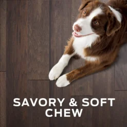 Purina Pro Plan Veterinary Diets Digestive Health Bites Soft & Chewy Dog Treats 16 Purina Pro Plan Veterinary Diets Digestive Health Bites Soft & Chewy Dog Treats -Pawsphoria Sales Store 180381 PT7. AC SS1800 V1699367689