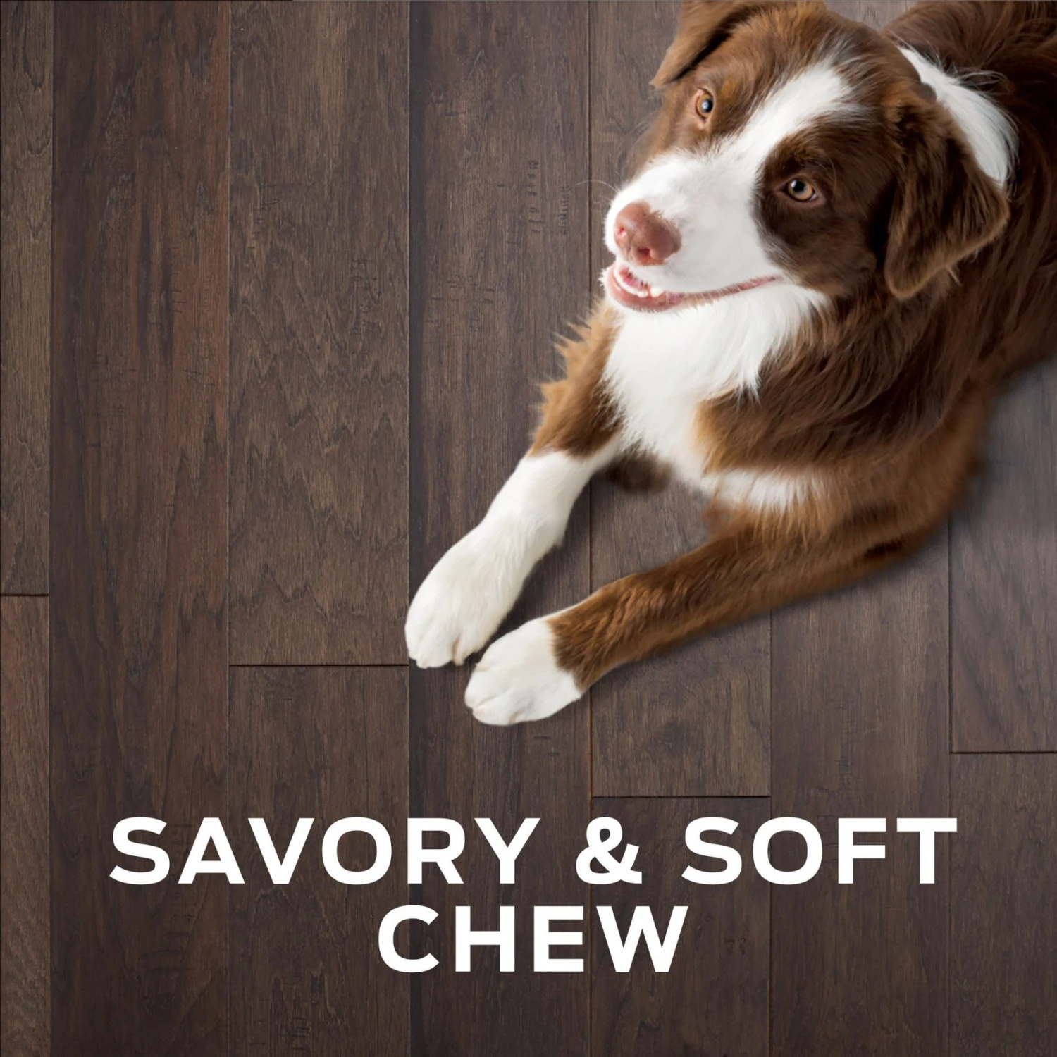 Purina Pro Plan Veterinary Diets Digestive Health Bites Soft & Chewy Dog Treats 8 Purina Pro Plan Veterinary Diets Digestive Health Bites Soft & Chewy Dog Treats - Image 8