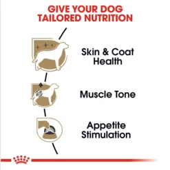 Royal Canin Breed Health Nutrition Poodle Loaf In Gravy Pouch Wet Dog Food -Pawsphoria Sales Store 181584 PT3. AC SS1800 V1696614257