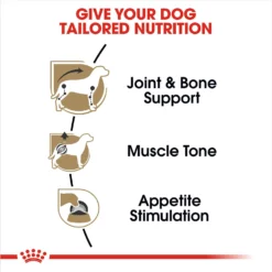 Royal Canin Breed Health Nutrition Dachshund Adult Loaf In Gravy Pouch Dog Food 12 Royal Canin Breed Health Nutrition Dachshund Adult Loaf In Gravy Pouch Dog Food -Pawsphoria Sales Store 181588 PT3. AC SS1800 V1697213742