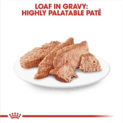 Royal Canin Breed Health Nutrition Chihuahua Loaf In Gravy Pouch Dog Food -Pawsphoria Sales Store 181590 PT2. AC SS1800 V1697212855