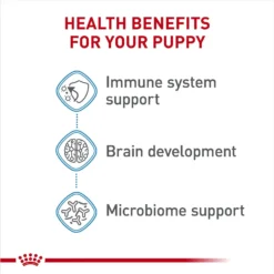 Royal Canin Size Health Nutrition Small Puppy Chunks In Gravy Dog Food Pouch -Pawsphoria Sales Store 181592 PT4. AC SS1800 V1697216753