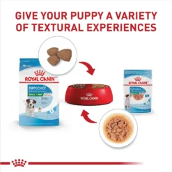 Royal Canin Size Health Nutrition Small Puppy Chunks In Gravy Dog Food Pouch -Pawsphoria Sales Store 181592 PT5. AC SS1800 V1697213407